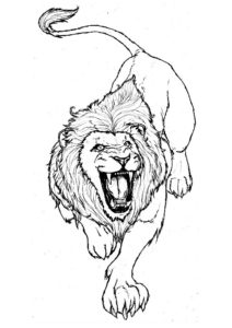 coloriage de lion