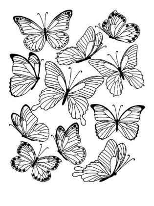 coloriage de papillon