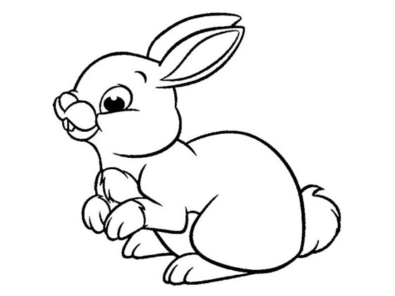 Coloriage Lapin : 28 supers dessins à imprimer gratuitement