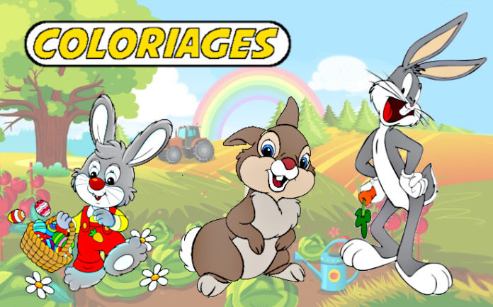 coloriage lapin