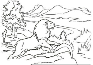 coloriage lion