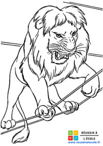 coloriage lion