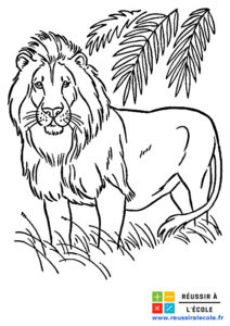 coloriage lion