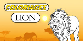 coloriage lion