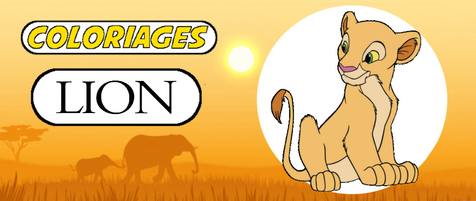 coloriage lionceau coloriage lionceau