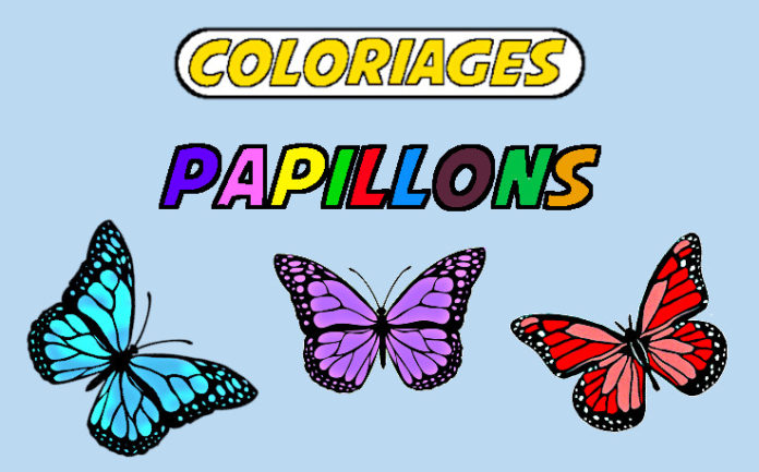Coloriage papillon pour enfant (Coloriage Papillon)