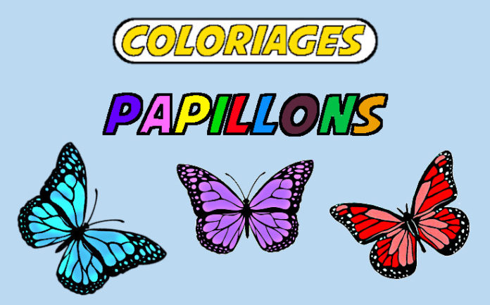 coloriage papillon