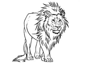 image de lion