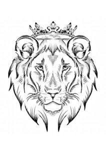 image de lion