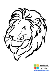 image lion
