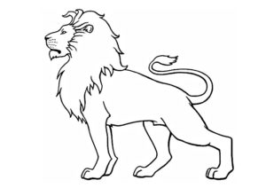 lion coloriage