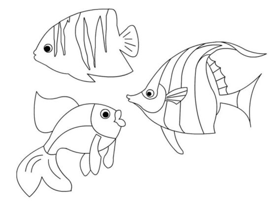 poissons à colorier