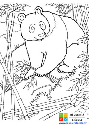 coloriage animaux sauvages