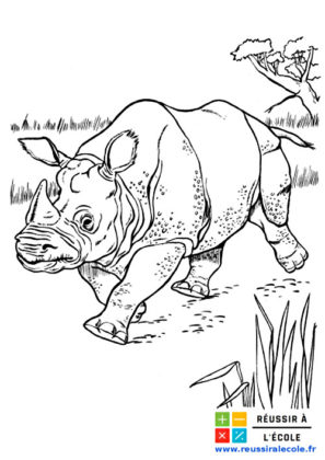 coloriage animaux sauvages