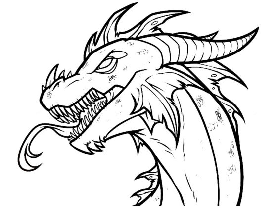 coloriage dragon