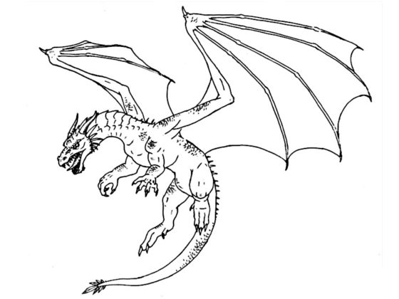 dragon à colorier