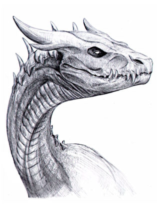 image dragon