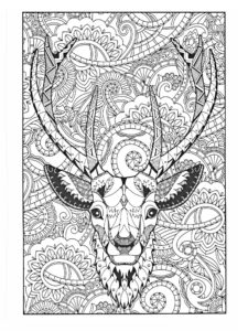 animaux coloriage mandala