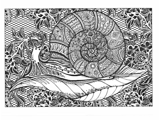 Coloriage Mandala Animaux Gratuit : 40 supers dessins à imprimer