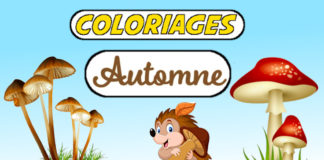 coloriage automne