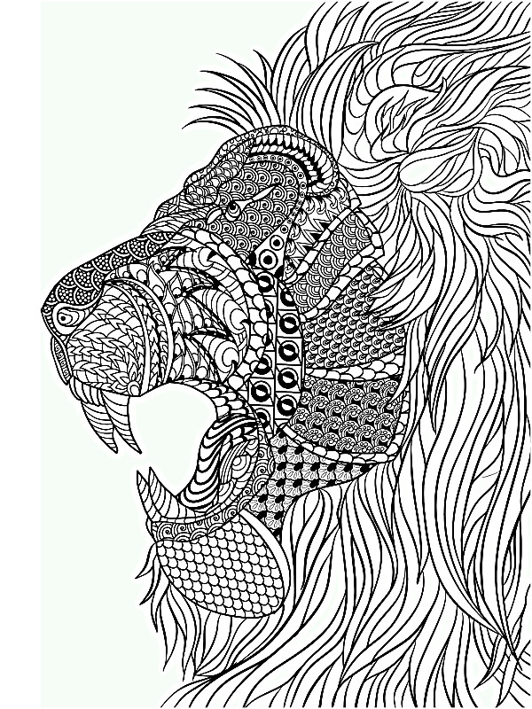 MANDALA Animaux - Coloriage adulte Anti-stress: Livre de coloriage des  MANDALAS Animaux pour adultes pour soulager le stress (Paperback) 