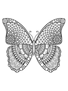 coloriage papillon mandala