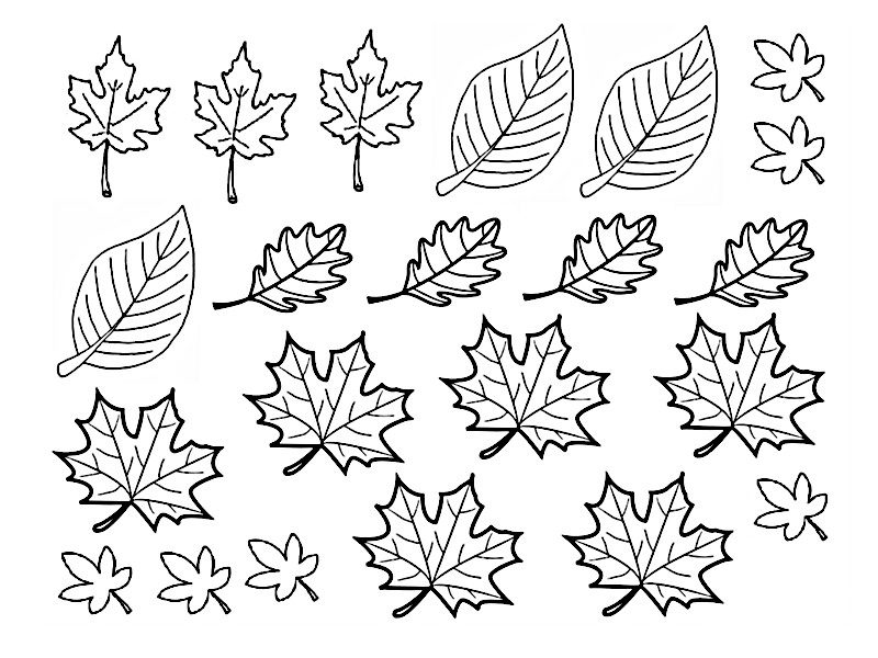 Coloriage Les Feuilles Changent De Couleur En Automne Dessin Feuille  Automne à imprimer