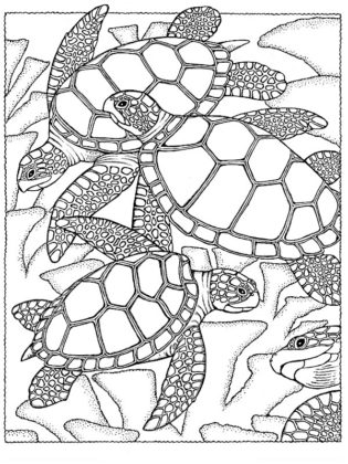 coloriage d animaux marins