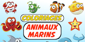 coloriage animaux marins