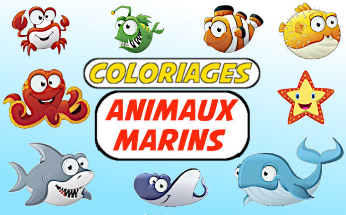 coloriage animaux marins