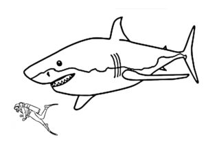 coloriage megalodon