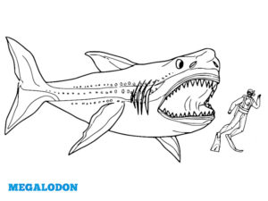 coloriage megalodon