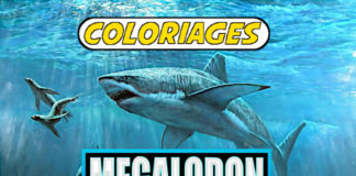 coloriage megalodon