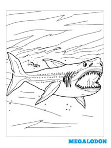 coloriage megalodon