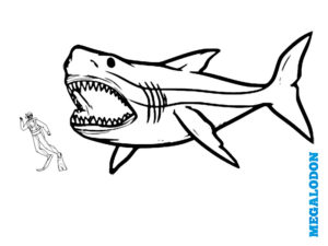 coloriage megalodon
