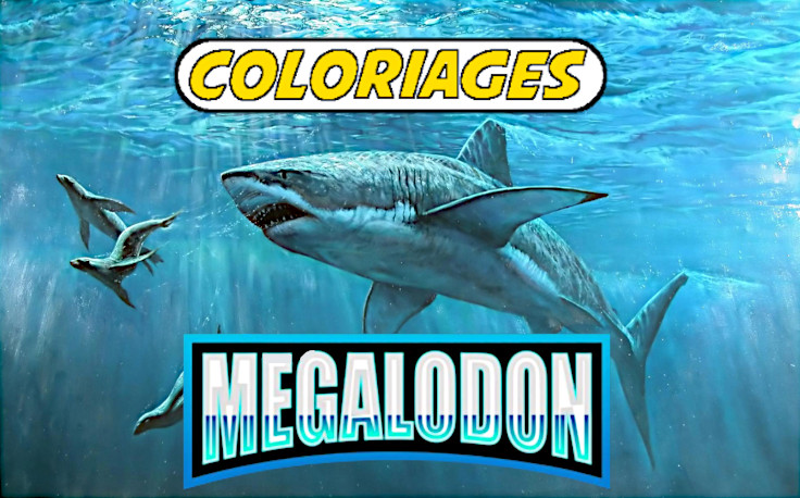 coloriage megalodon