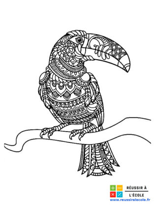 coloriage oiseau mandala