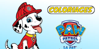 coloriage pat patrouille marcus