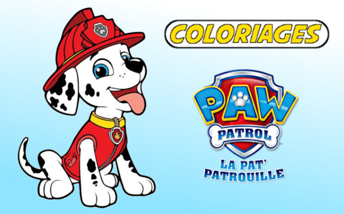 coloriage pat patrouille marcus