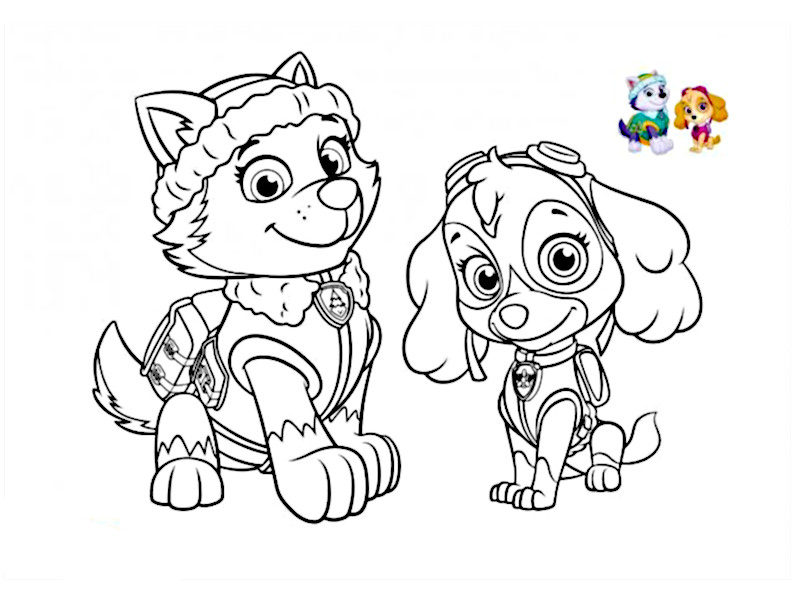 Coloriage de Pat Patrouille - Everest, Stella et Ruben a colorier