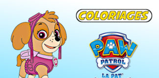 coloriage pat patrouille stella
