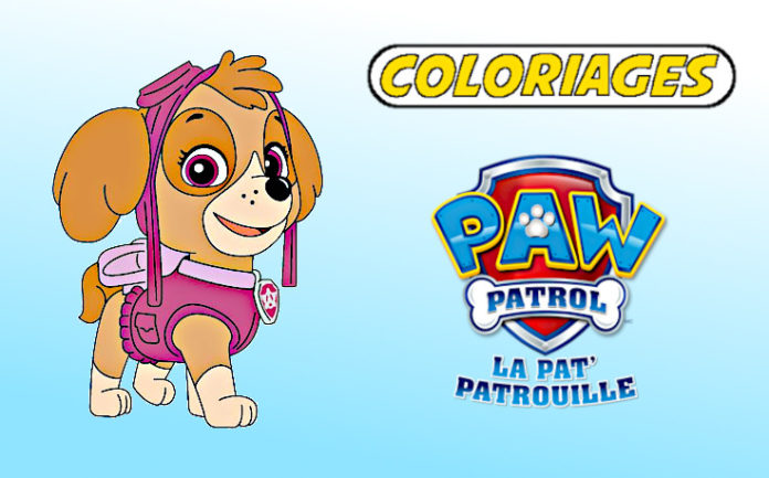 coloriage pat patrouille stella