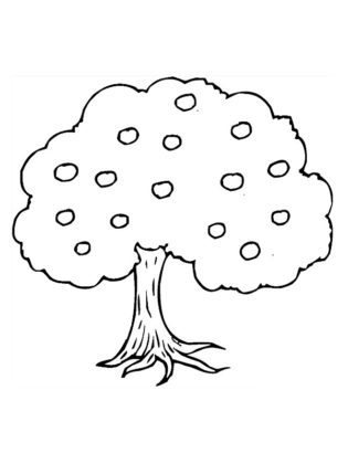 dessin arbre de vie