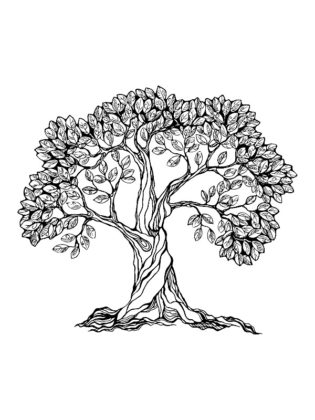 dessin arbre japonais