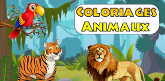 coloriage animaux à imprimer