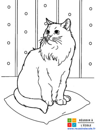 coloriage fille 10 ans