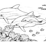 coloriage pour fille de 9 ans