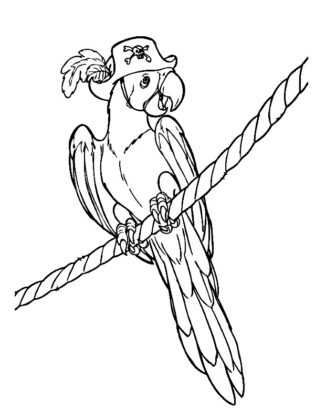 image pirate