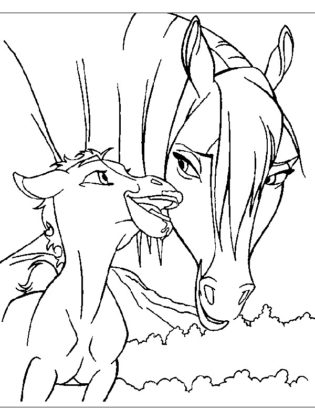 coloriage cheval spirit