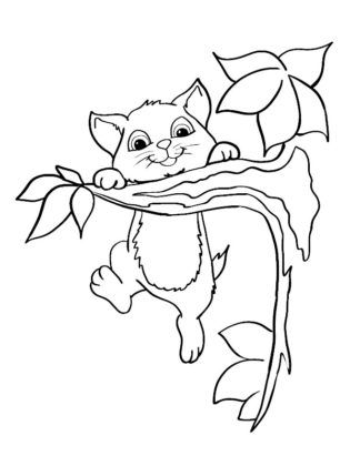 chat coloriage